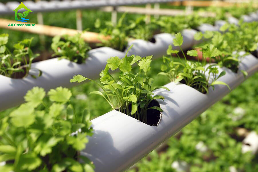 Agricultura en interiores sin suelo El cultivo de fresas Tubo de PVC para hidroponía Sistema NFT para la venta